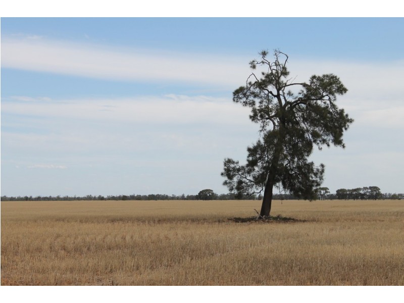 Yulabilla QLD 4416
