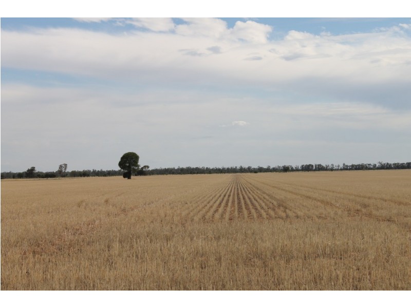 Yulabilla QLD 4416