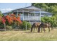 1 Plainlands, Dalby QLD 4405
