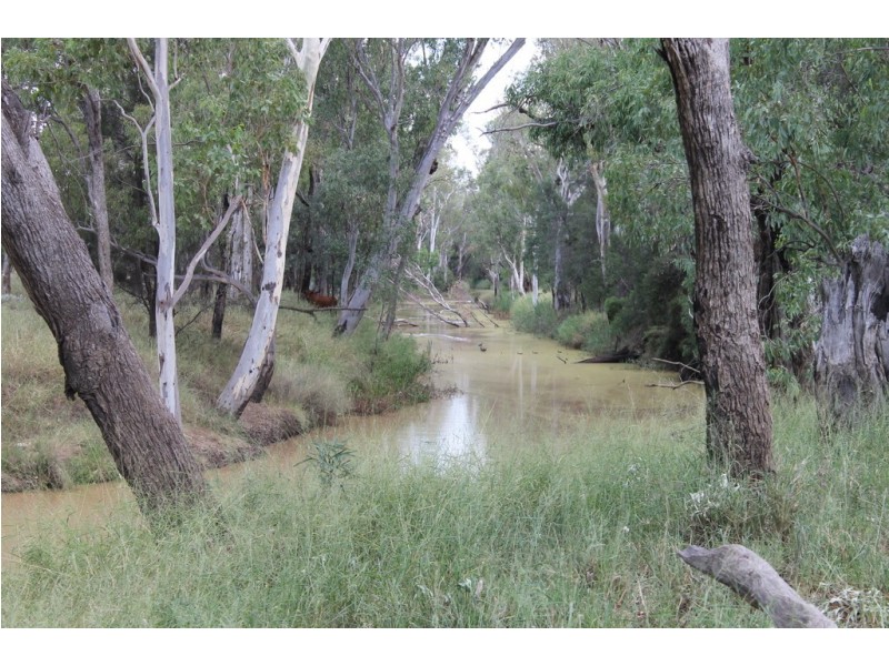 Drillham South QLD 4424