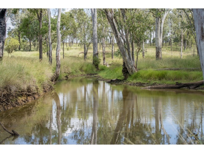 . Dandaloo, Durong QLD 4610
