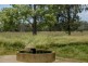 . Dandaloo, Durong QLD 4610