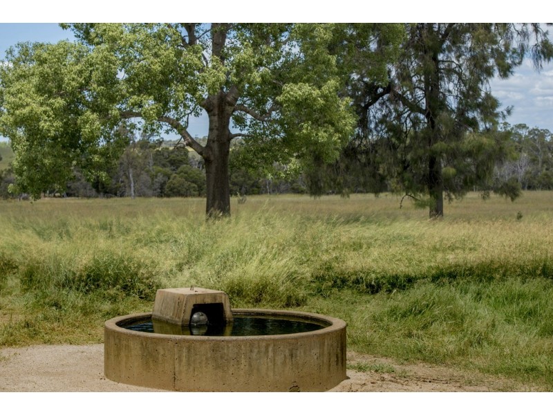 . Dandaloo, Durong QLD 4610