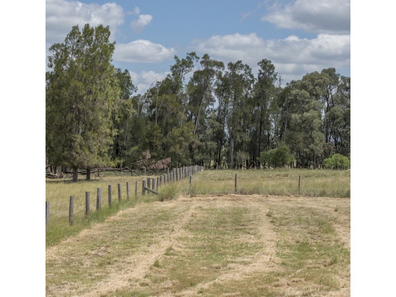 . Dandaloo, Durong QLD 4610