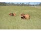 Durong QLD 4610