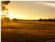 Durong QLD 4610