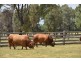 Durong QLD 4610