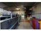 58 Mahon Street, Dalby QLD 4405