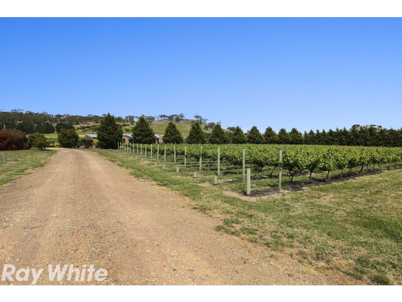 2440 Ballan Road, Anakie VIC 3221