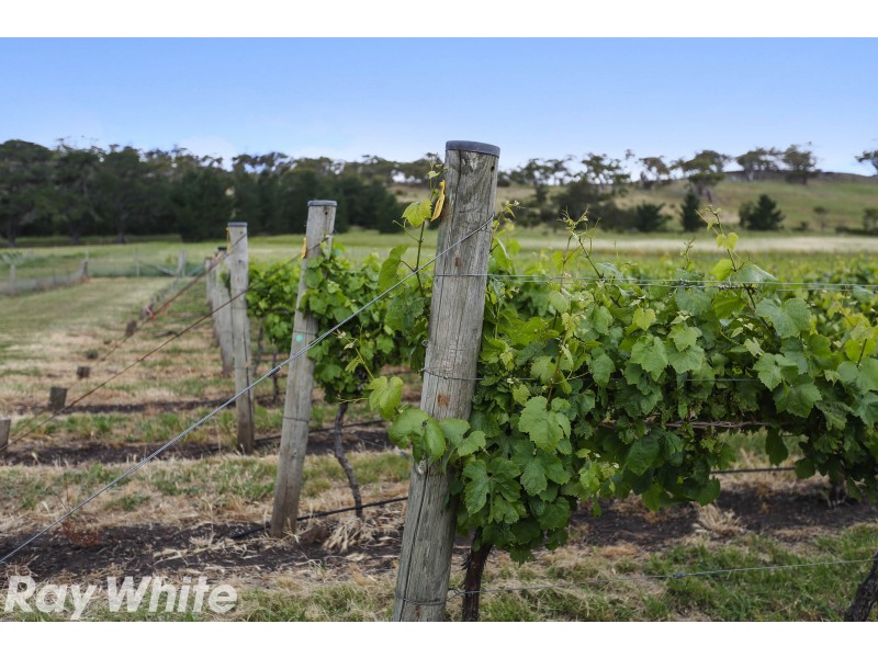 2440 Ballan Road, Anakie VIC 3221