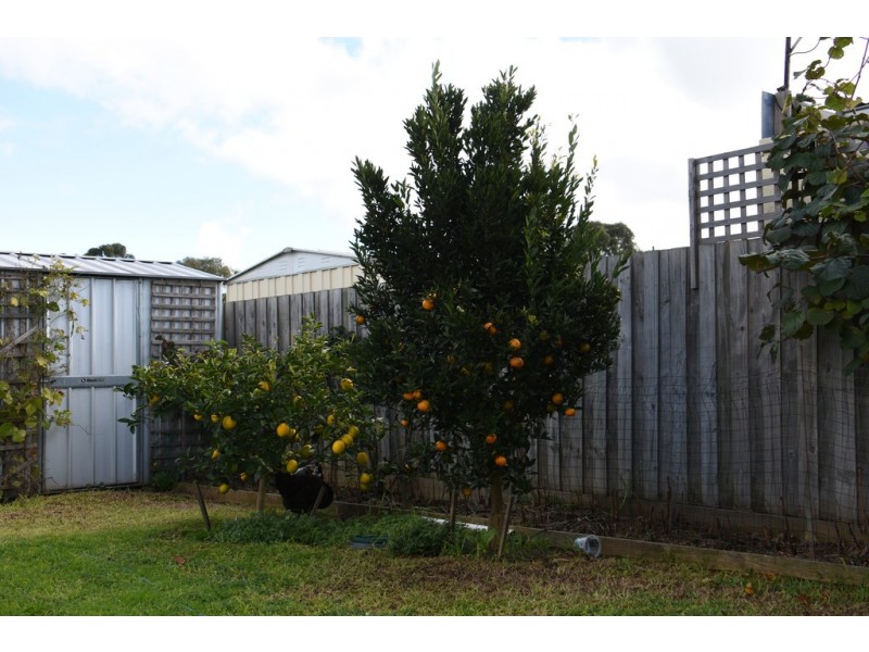 59 Curletts Road, Lara VIC 3212