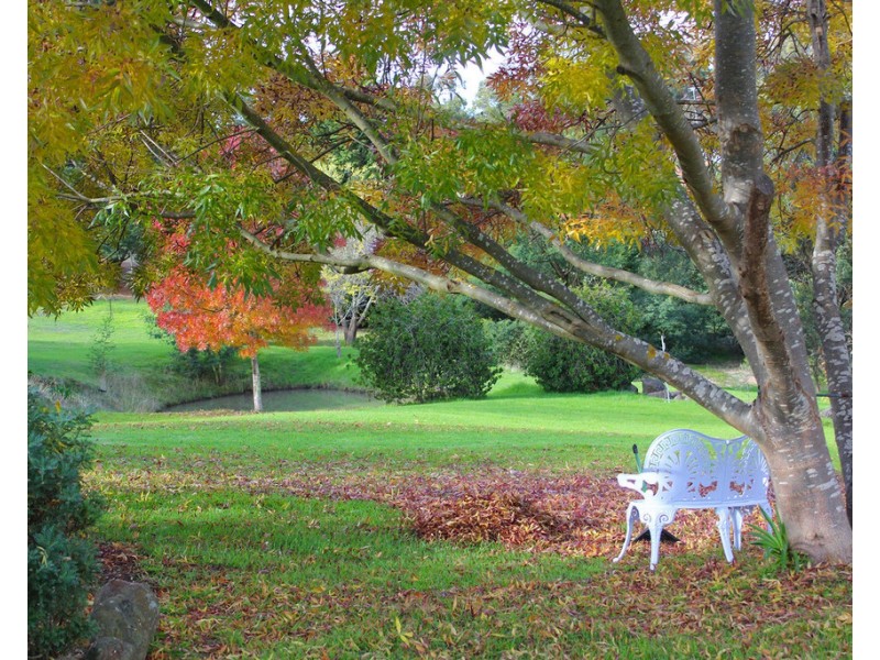 563 De Motts Road, Anakie VIC 3221