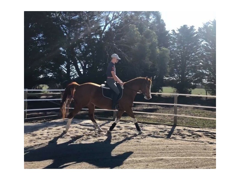 280-330 Clarkes Road, Anakie VIC 3221