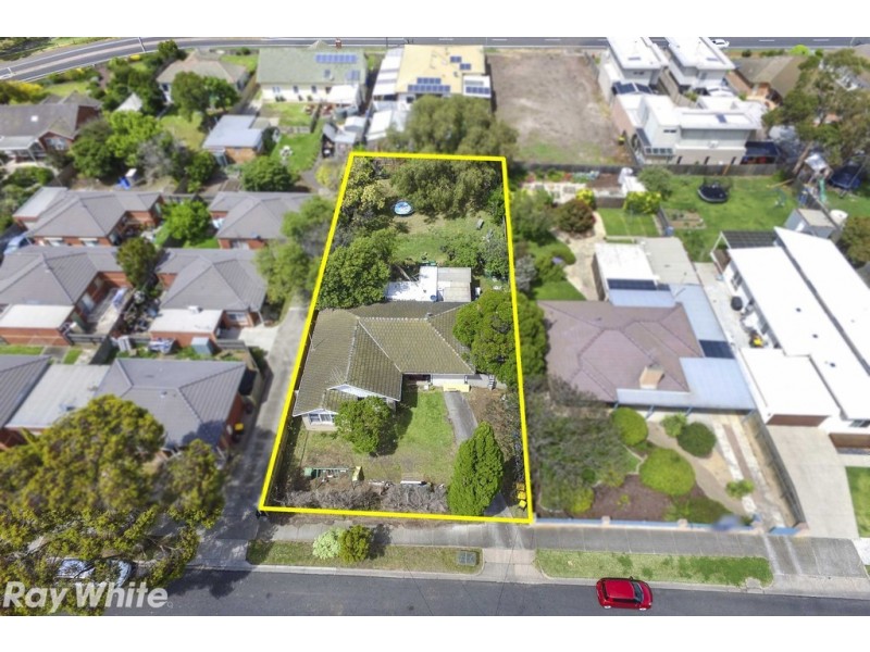 26 Pine Avenue, North Shore VIC 3214