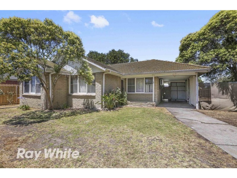 26 Pine Avenue, North Shore VIC 3214