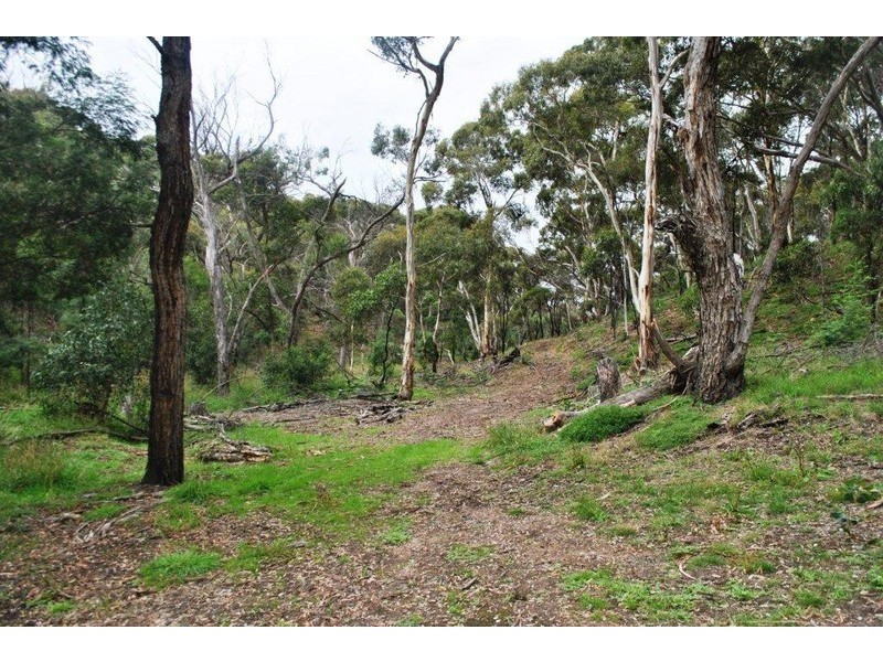 315 South Steiglitz Road, Steiglitz VIC 3331