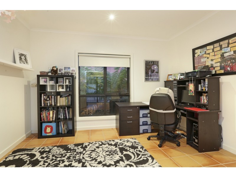 19 Quinn Street, Bell Post Hill VIC 3215