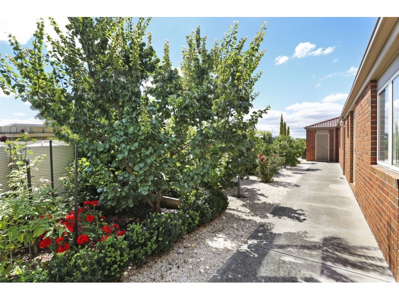 59 Nigella Avenue, Corio VIC 3214