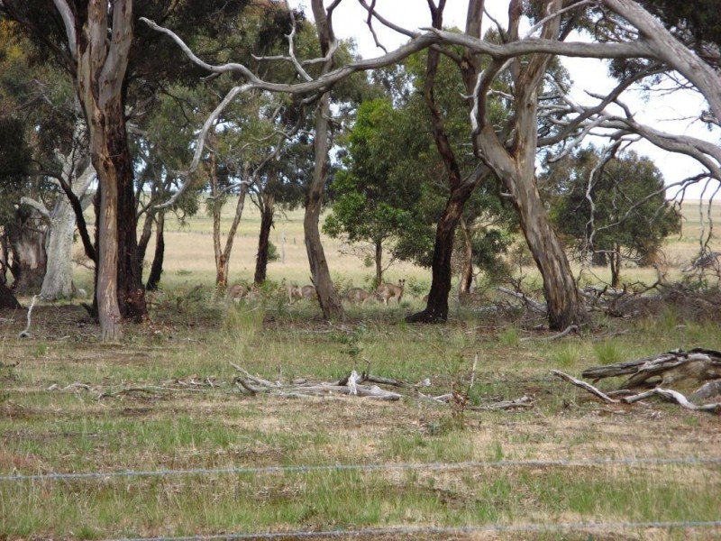 Lot 3  2134 Ballan Road, Anakie VIC 3221