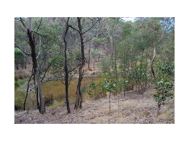 CA 38 D Clarkes Road, Anakie VIC 3221