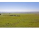 978 Steiglitz Road, Sutherlands Creek VIC 3331