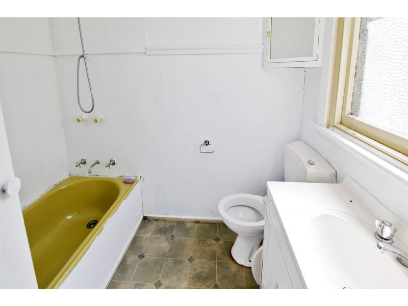 7 Pine Avenue, North Shore VIC 3214