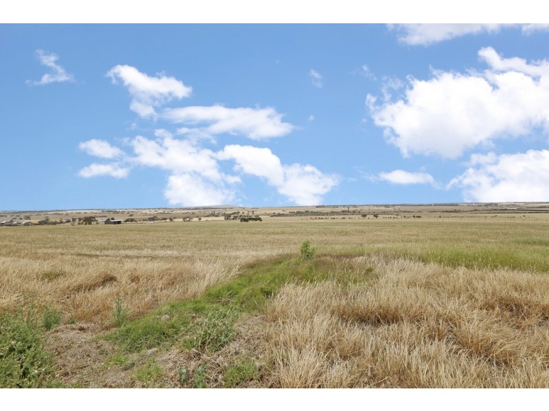 1010 Steiglitz Road, Sutherlands Creek VIC 3331