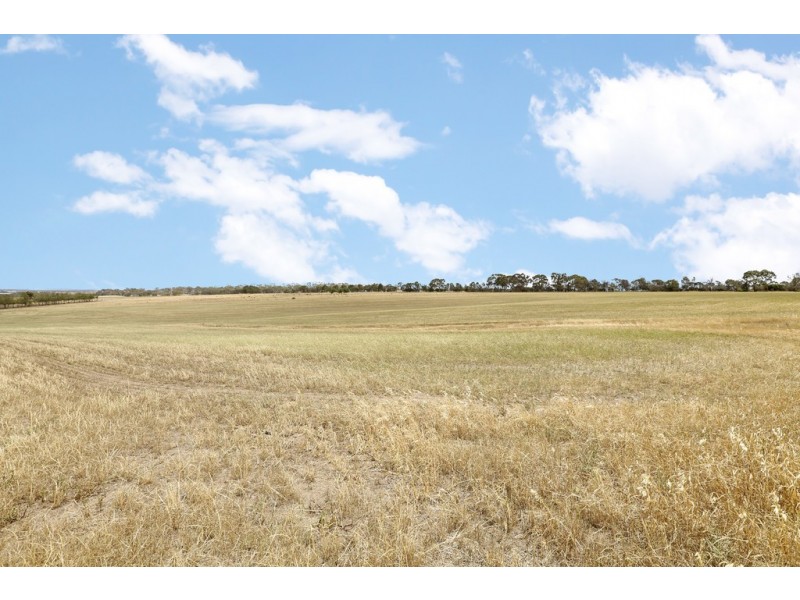 1010 Steiglitz Road, Sutherlands Creek VIC 3331