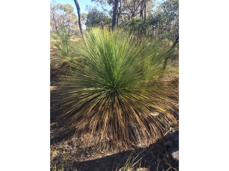 Lot 12 Stirling Road, She Oaks VIC 3331