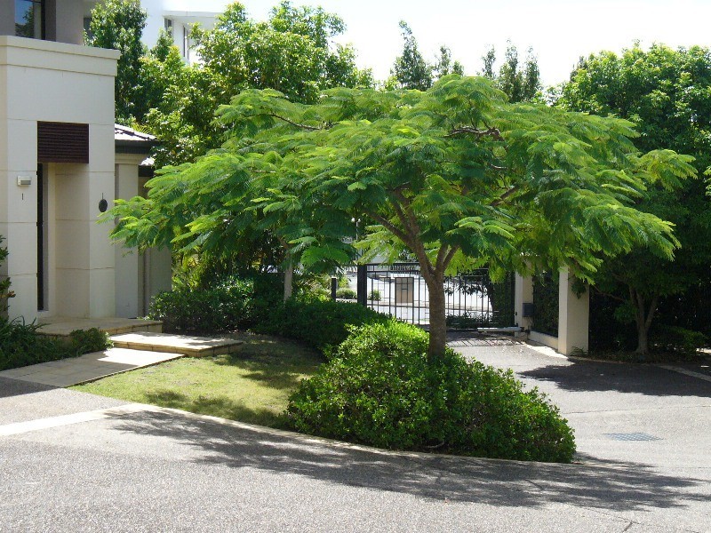 Varsity Lakes QLD 4227