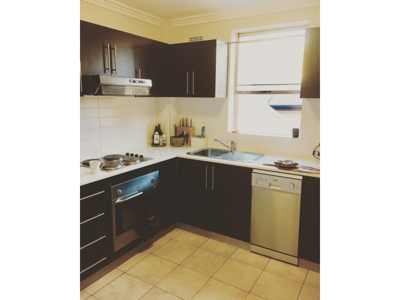 9/19 Sheehy Street, Glebe NSW 2037