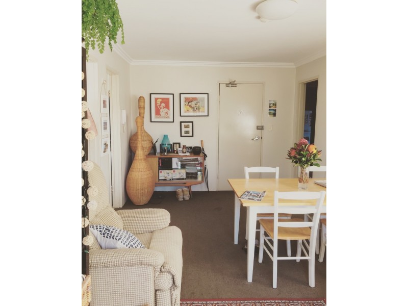 9/19 Sheehy Street, Glebe NSW 2037