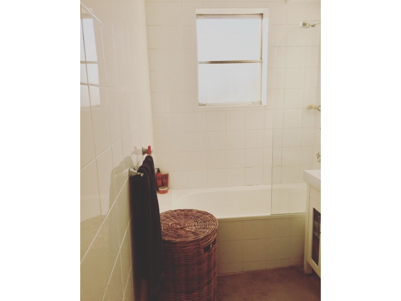 9/19 Sheehy Street, Glebe NSW 2037