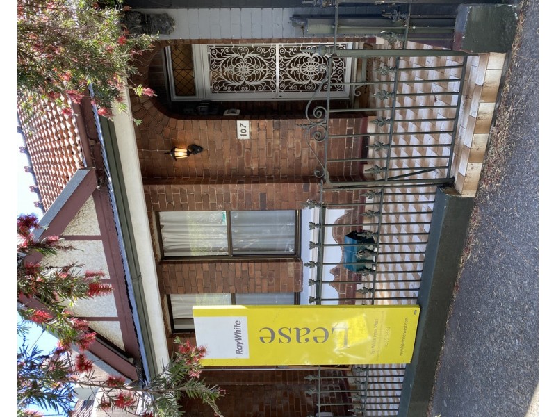 107 Cavendish Street, Stanmore NSW 2048