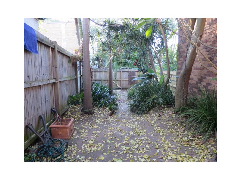 24 Bucknell Street, Newtown NSW 2042
