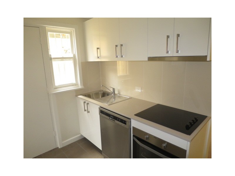 3 Bucknell Street, Newtown NSW 2042