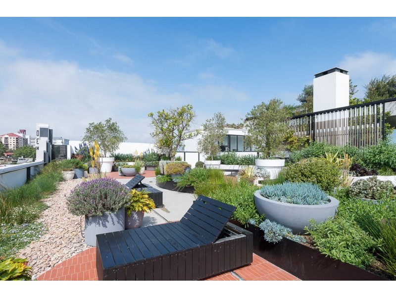 201/1A Great Buckingham Street, Redfern NSW 2016