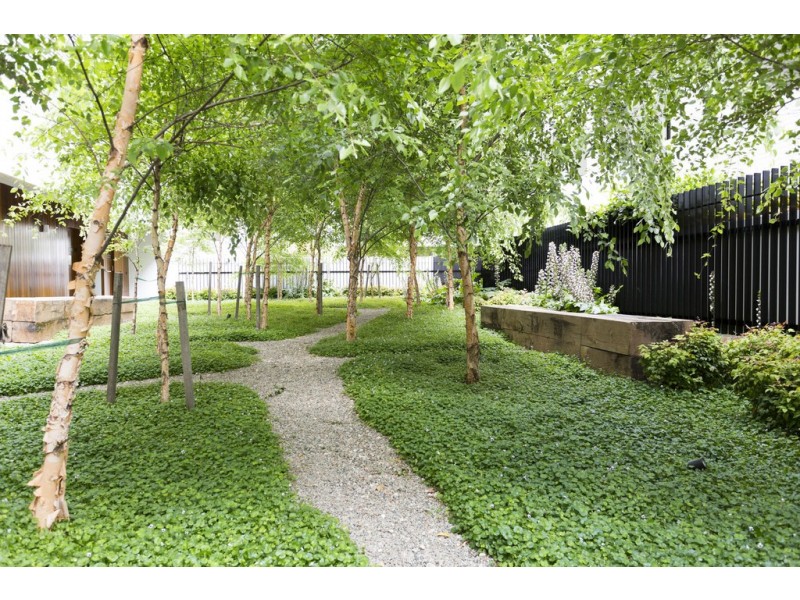 G05/17 Danks Street, Waterloo NSW 2017