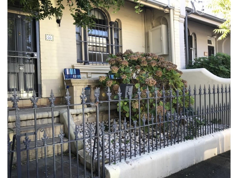 66 Newman Street, Newtown NSW 2042