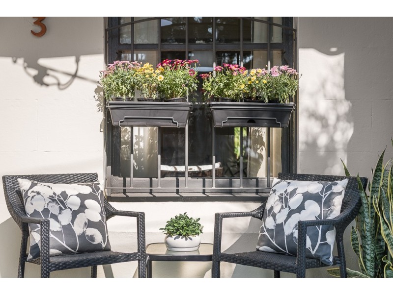 3 Searl Street, Petersham NSW 2049