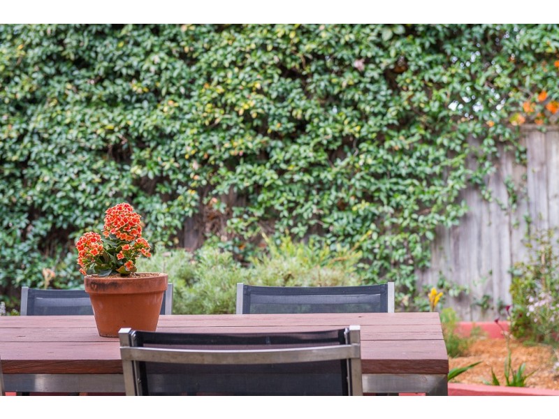 34 Llewellyn Street, Marrickville NSW 2204