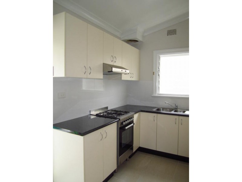 37 Maida Street, Lilyfield NSW 2040