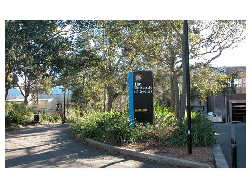 3/299 Abercrombie Street, Darlington NSW 2008