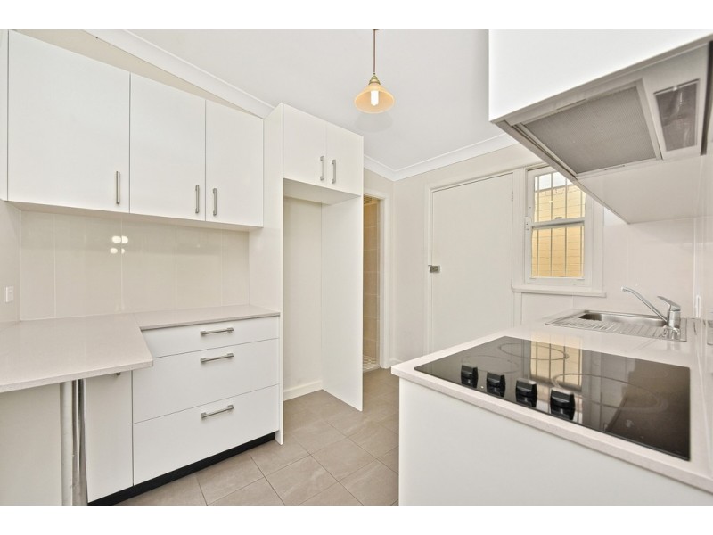 3 Bucknell Street, Newtown NSW 2042