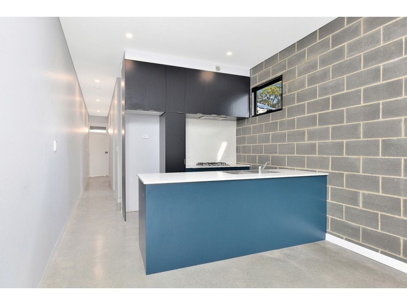 19 Baldwin Street, Erskineville NSW 2043