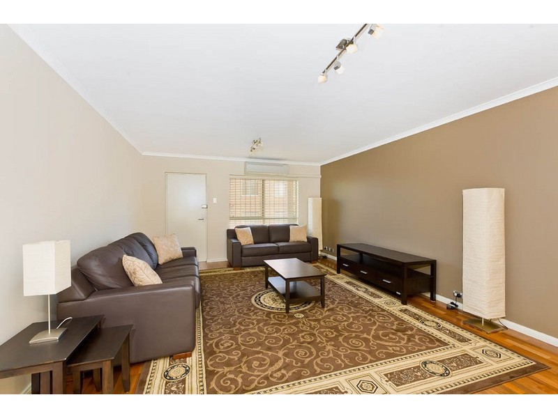 3/155 Missenden Rd, Newtown NSW 2042