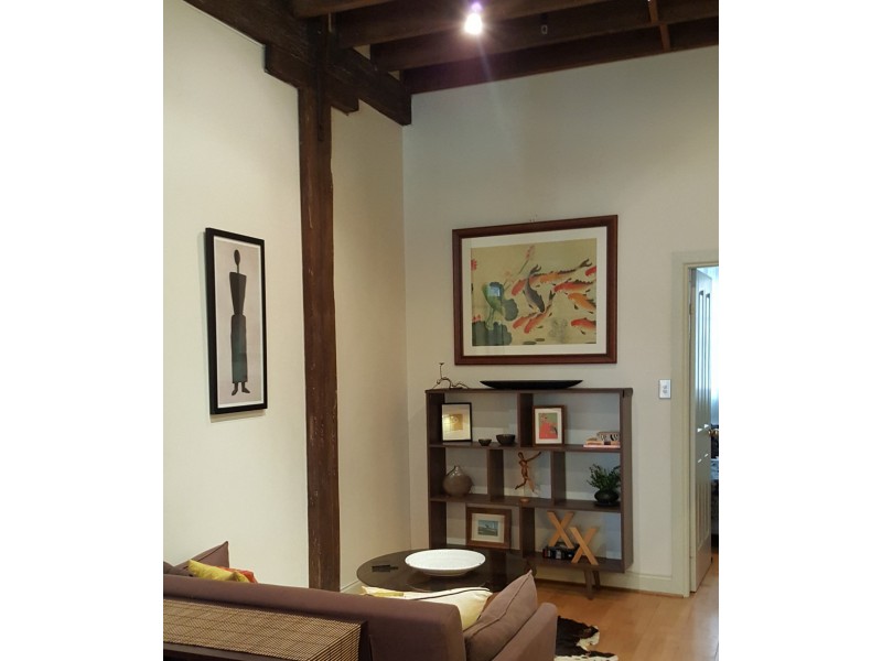 3/13-21 Abercrombie Street, Chippendale NSW 2008