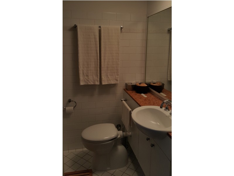 3/13-21 Abercrombie Street, Chippendale NSW 2008