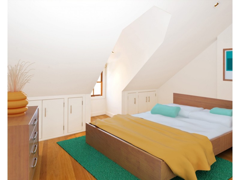 117 Chelmsford Street, Newtown NSW 2042