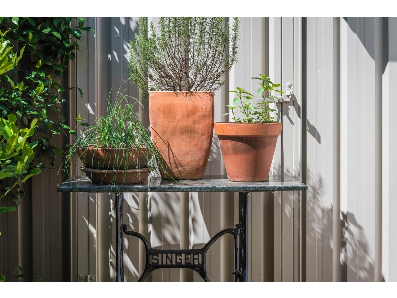 84 Church Street, Camperdown NSW 2050